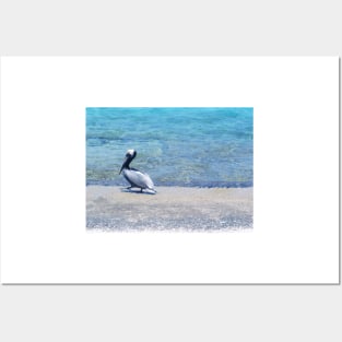 Strutting Pelican on the Beach Posters and Art